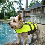 Chaleco Salvavidas Inflable de Tela de Buceo para Mascotas, Chaleco de Seguridad para Perros en la Piscina