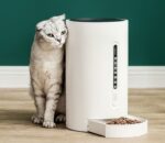 El Comedero Inteligente para Mascotas es la solución perfecta para garantizar que tus amigos peludos reciban su comida a tiempo, incluso cuando no estás en casa. Este comedero combina funcionalidad y diseño moderno para brindar comodidad tanto a ti como a tu mascota. Características Principales: Capacidad de Granero: Con un espacio de 4.6 litros, es ideal para mantener suficiente alimento almacenado para varios días, dependiendo del tamaño de tu mascota. Material Duradero: Fabricado con material ABS de alta calidad, asegurando resistencia y seguridad para el uso diario. Alimentación Inteligente: Compatible con un rango de suministro eléctrico de 100-240V/50-60HZ y con un voltaje nominal de 5V/1A, garantiza un funcionamiento estable y eficiente. Tamaño Compacto: Sus dimensiones de 38.3x22.3x22.3 cm lo hacen adecuado para cualquier espacio de tu hogar, sin ocupar demasiado lugar. Incluye: 1 Comedero automático para mascotas. Este comedero inteligente es perfecto para perros y gatos, ayudándote a mantener sus horarios de comida y garantizando su bienestar, incluso cuando estás ocupado. Ideal para quienes buscan comodidad y cuidado en la alimentación de sus mascotas
