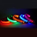 Collar luminoso LED de nailon para mascotas, collar de seguridad nocturna con luces intermitentes que brillan en la oscuridad, correa ajustable para perros y gatos, suministros para mascotas