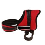 Collar Deportivo Ajustable y Resistente para Perros - Ideal para Actividades al Aire Libre y Entrenamiento