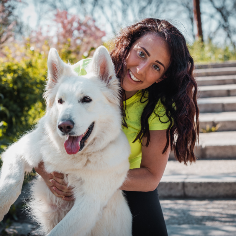 Cómo Socializar a tu Mascota: Guía Completa