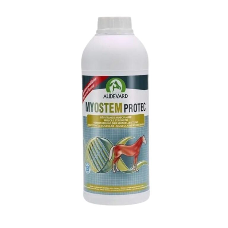 Myostem Protec Audevard es un suplemento líquido para proteger y fortalecer la musculatura de los caballos en entrenamiento o recuperación. Frasco de 900 ml. Consulta veterinaria recomendada.