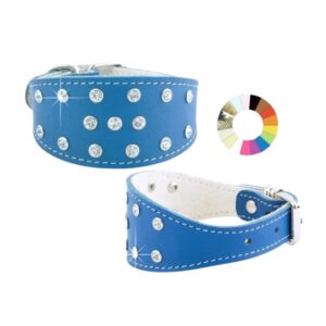 Compra el Collar Galgo Piccolo Fant 3FRJ 31-41 L450 A60 en KityPet. Ajustable, resistente y perfecto para galgos. Con Cuenta Premium recibe hasta 20% de descuento y regalos mensuales para tu mascota.