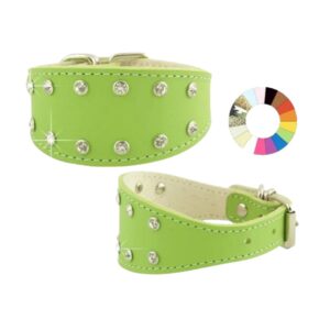 Compra el Collar Galgo Piccolo Fant NJ 18-25 L280 A40 en KityPet. Ajustable y cómodo para galgos pequeños. Con Cuenta Premium, obtén descuentos de hasta 20 % y regalos mensuales.