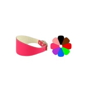 Compra el Collar Leather Piccolo NG 18-25, fabricado en cuero genuino. Ajustable, cómodo y duradero, ideal para perros pequeños. Estilo clásico con materiales de calidad.
