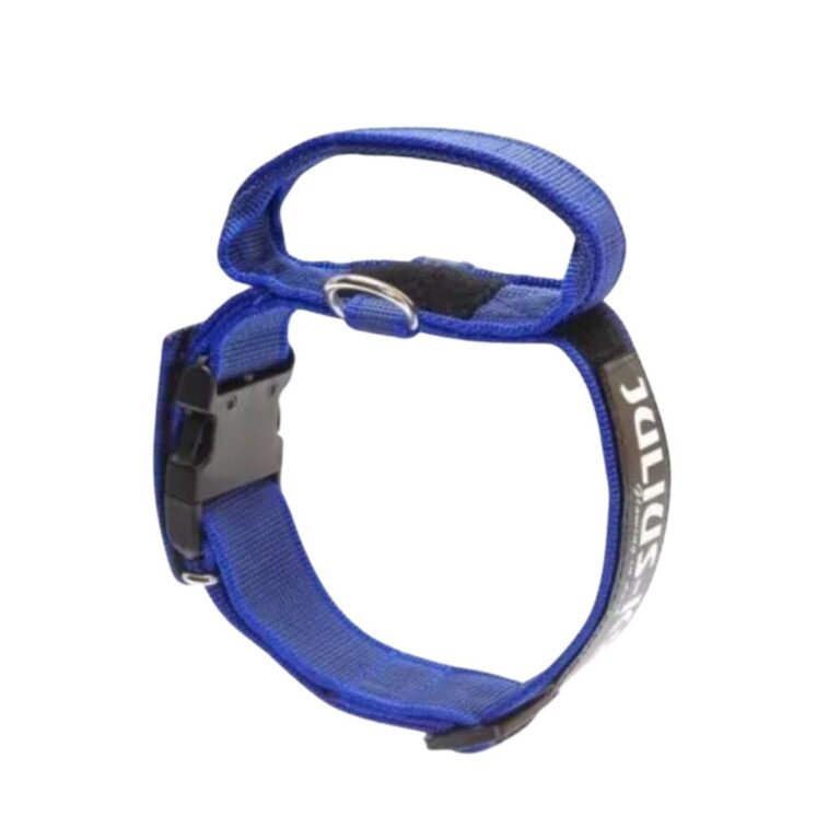 Compra el Collar Color & Gray Azul con manija y cierre de seguridad. Collar ajustable (49-70 cm), resistente y cómodo, ideal para paseos seguros y personalizados.