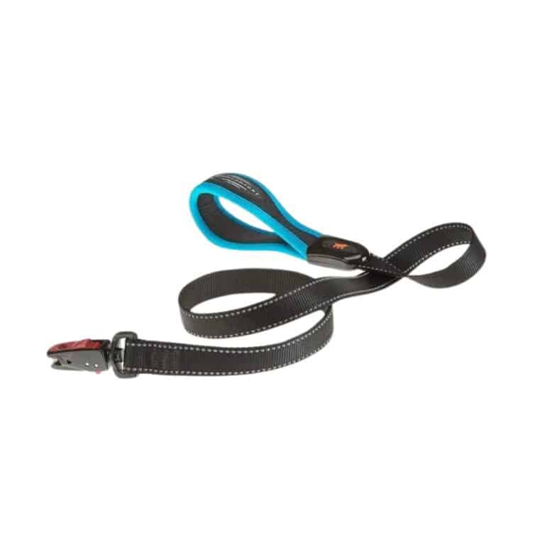 Correa Ferplast Ergofluo Matic G25 120 azul con mosquetón automático y diseño ergonómico. Ideal para perros grandes, segura, moderna y fácil de usar.