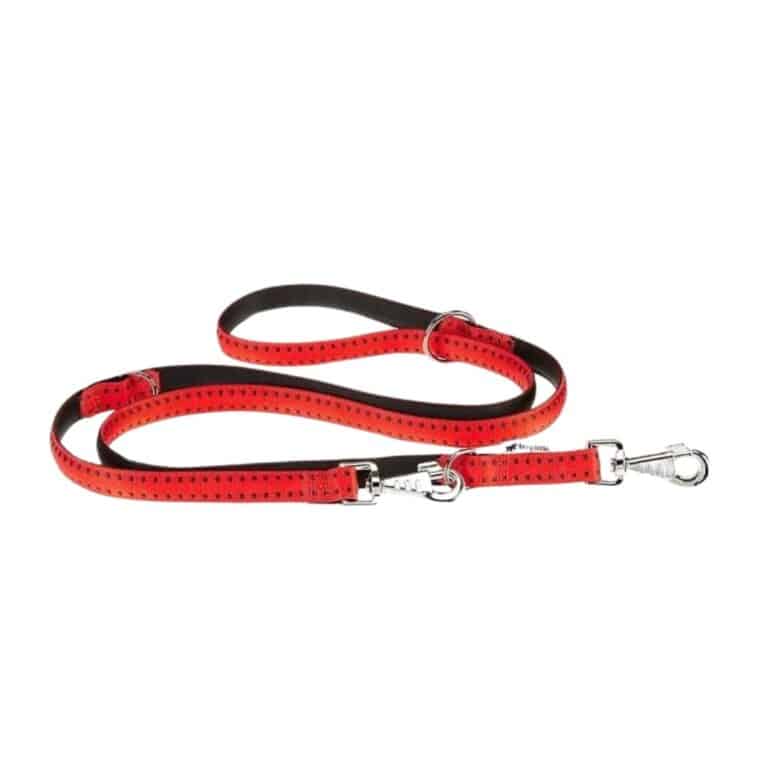 Descubre la correa para perro Ferplast Cricket Matic GA15 200 en color rojo. Con ajuste hasta 2 metros, mosquetón magnético y mango acolchado. Seguridad y estilo para tus paseos.