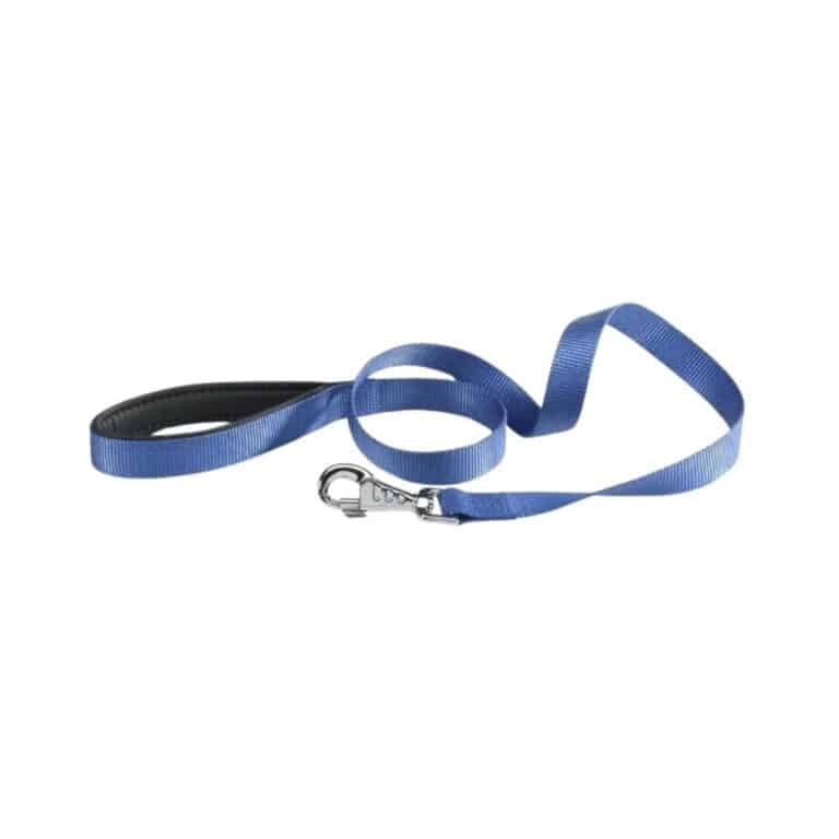Correa para perro Ferplast Daytona G15 120 en color azul. Nylon resistente, diseño ergonómico con asa acolchada. Ideal para paseos diarios y entrenamientos.