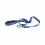 Correa para perro Ferplast Daytona G15 120 en color azul. Nylon resistente, diseño ergonómico con asa acolchada. Ideal para paseos diarios y entrenamientos.