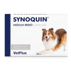 Cuida las articulaciones de tu perro con Synoquin EFA Razas Medianas. Condroprotector con glucosamina, condroitina y aceite de krill. Mejora la movilidad y previene el desgaste articular.