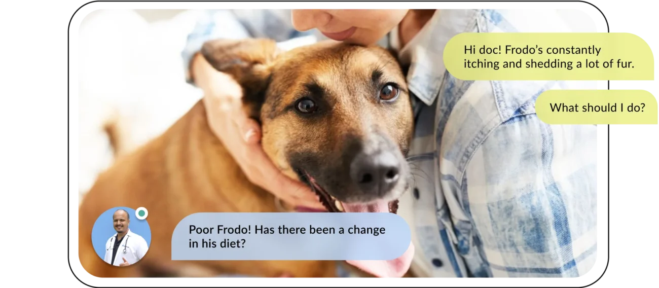 Consult a Vet Group 4133 4ebc3ffb e66a 4f3a 90d0 23f33e9c08fc large Ipeets