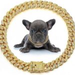 Collar para Perros y Gatos – Collar Joya Elegante con Cadena Metálica