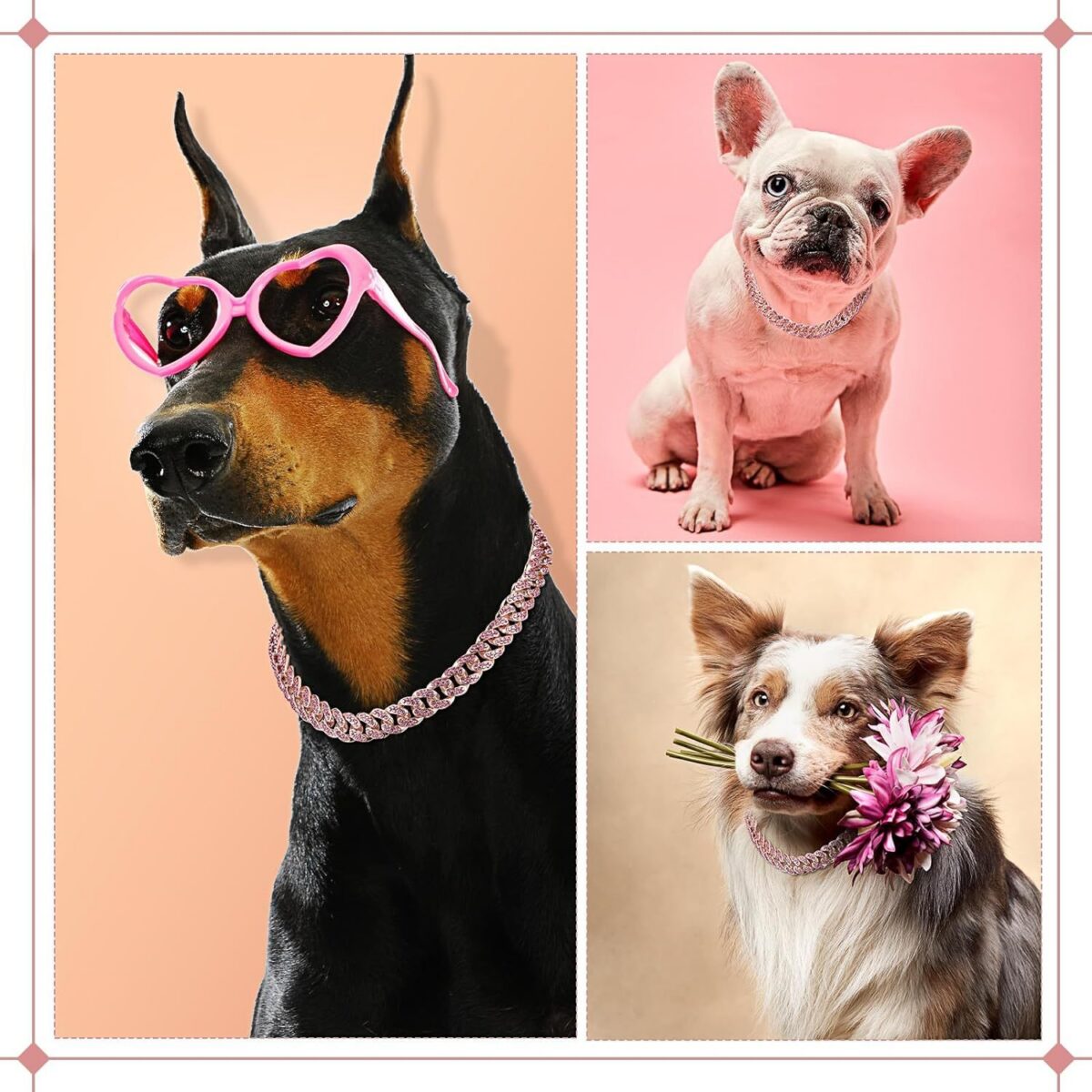 Collar para Perros y Gatos – Collar Joya Elegante con Cadena Metálica - Imagen 3